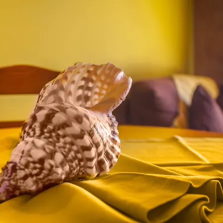 Montinho De Ouro 3* Luz