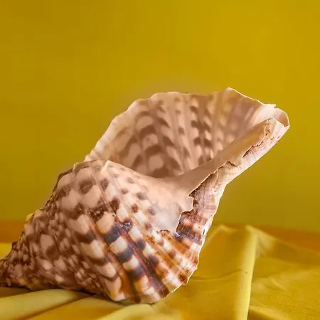 Montinho De Ouro Hotel 3*