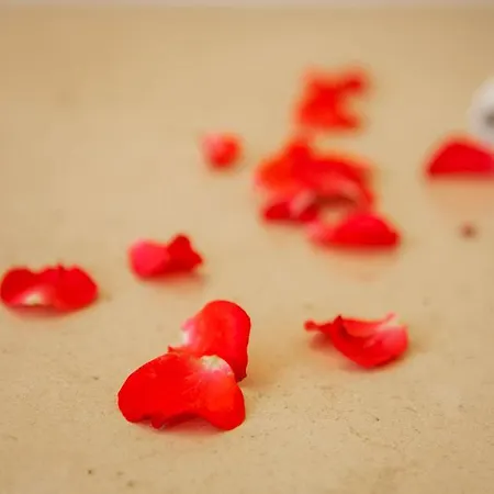 Montinho De Ouro Hotel Luz